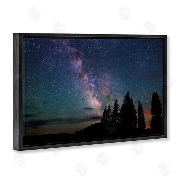 Stupell Industries Royce Bair | Silhouetted Forest & Night Sky