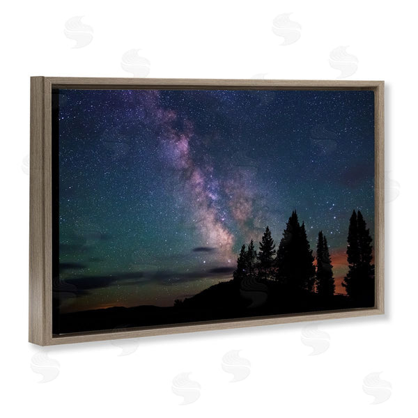 Stupell Industries Royce Bair | Silhouetted Forest & Night Sky