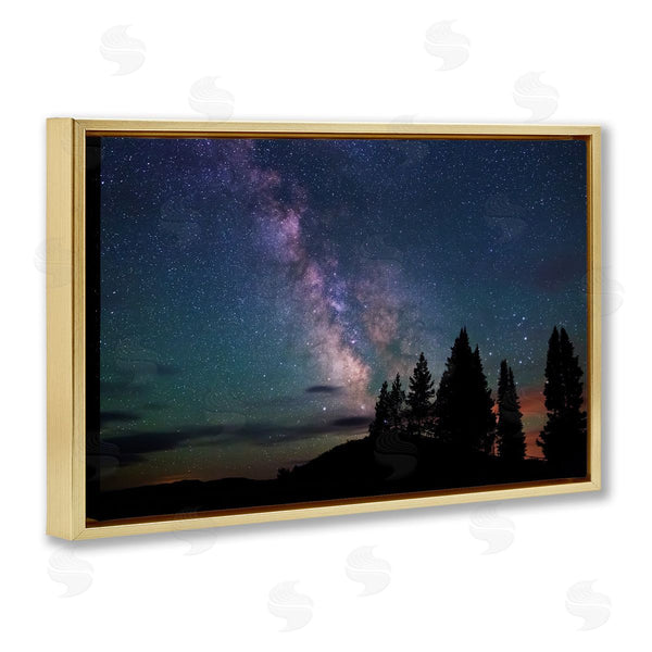 Stupell Industries Royce Bair | Silhouetted Forest & Night Sky