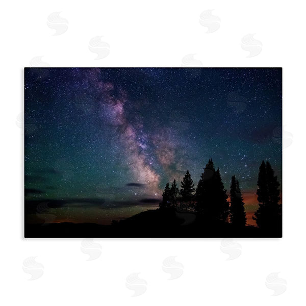 stupell industries Royce Bair | Silhouetted Forest & Night Sky