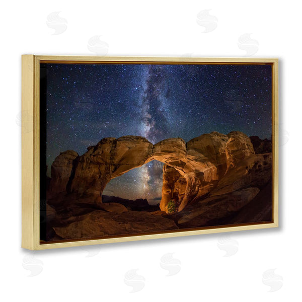 Stupell Industries Royce Bair | Starry Sky Through Desert Arch