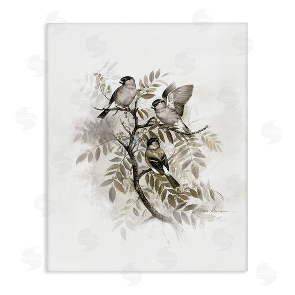 stupell industries RUANE MANNING | Birds on Spring Tree Branch