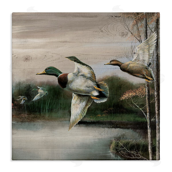 stupell industries Ruane Manning | Flying Ducks in Rustic Nature