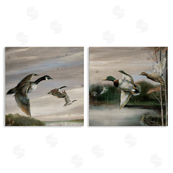 stupell industries Ruane Manning | Geese & Ducks in Nature