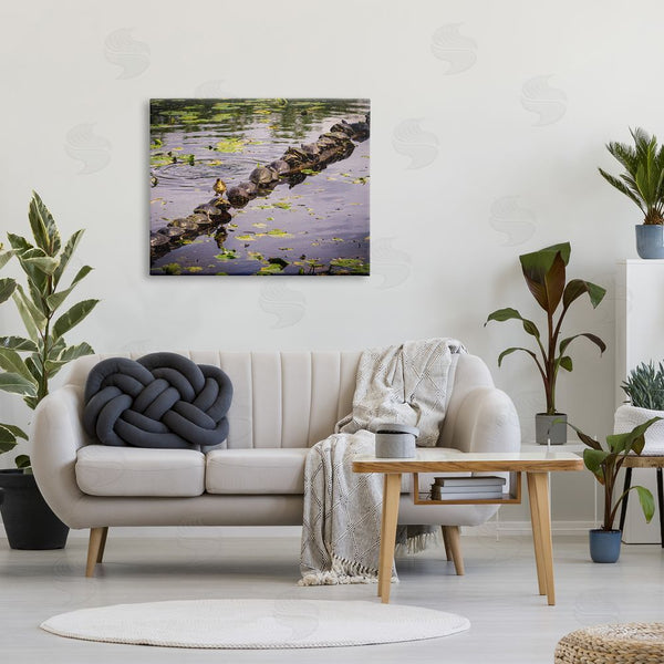 Stupell Industries Ryan Sims | Bird On Turtle Backs Wall Art