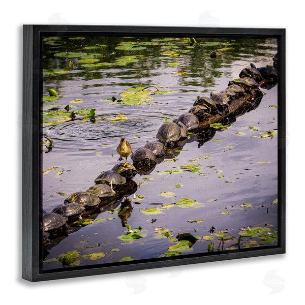 Stupell Industries Ryan Sims | Bird On Turtle Backs Wall Art