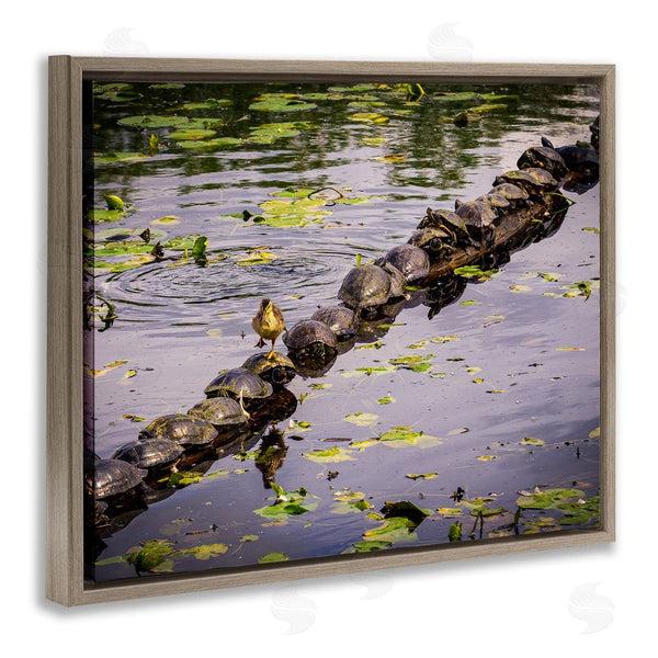 Stupell Industries Ryan Sims | Bird On Turtle Backs Wall Art