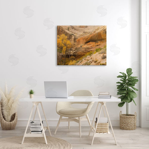 Stupell Industries Sally Linden | Desert Foliage Landscape Southwestern Canyon Cliff Wall Art