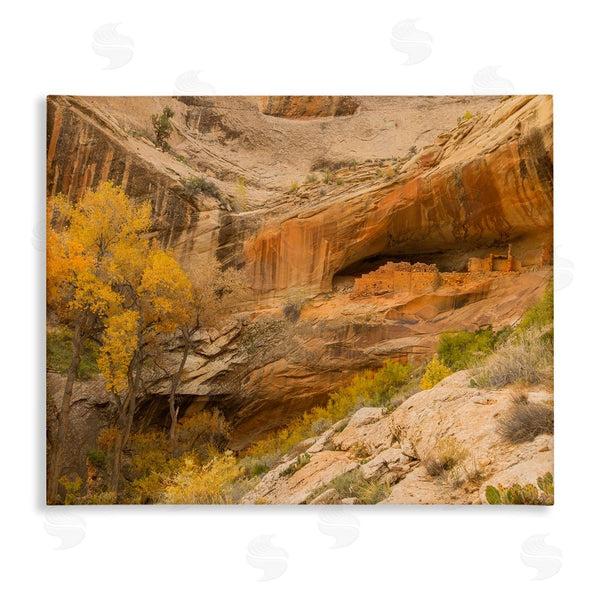 stupell industries Sally Linden | Desert Foliage Landscape Southwestern Canyon Cliff Wall Art