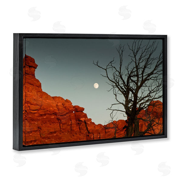 Stupell Industries Sally Linden | Full Moon Canyon Photography