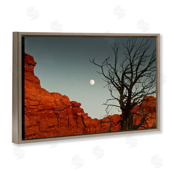 Stupell Industries Sally Linden | Full Moon Canyon Photography