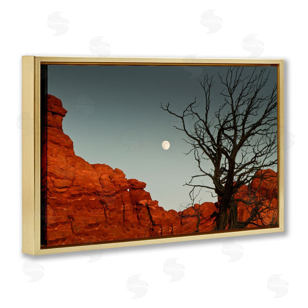 Stupell Industries Sally Linden | Full Moon Canyon Photography