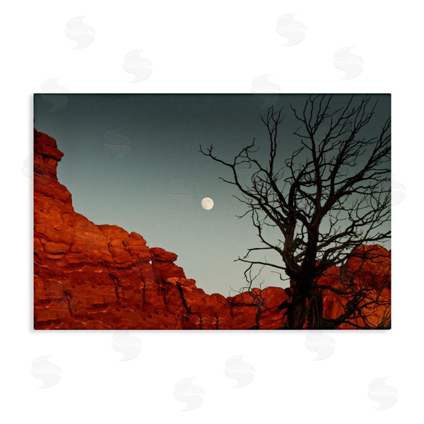 stupell industries Sally Linden | Full Moon Canyon Photography