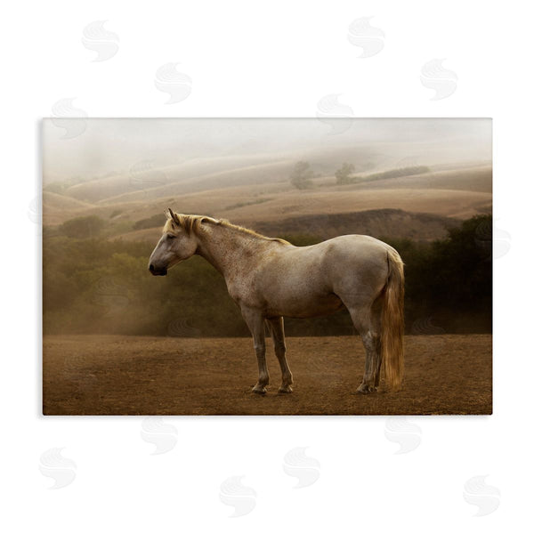 stupell industries Sally Linden | Morning Mist Horse Portrait