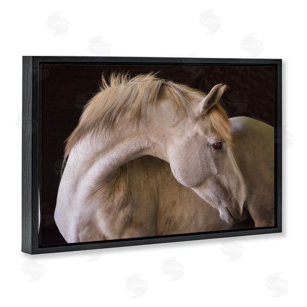 Stupell Industries Sally Linden | White Beauty Horse Portrait