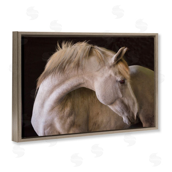 Stupell Industries Sally Linden | White Beauty Horse Portrait