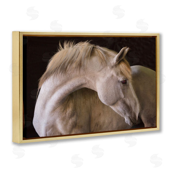 Stupell Industries Sally Linden | White Beauty Horse Portrait