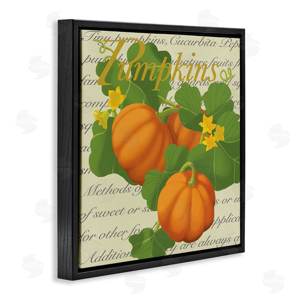 Stupell Industries Sally Springer Griffith | Pumpkin Floral Gourd Plants Vintage Typography Wall Art