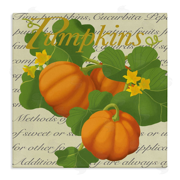 stupell industries Sally Springer Griffith | Pumpkin Floral Gourd Plants Vintage Typography Wall Art