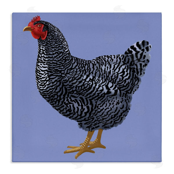 stupell industries Sally Springer Griffith | Striped Farm Chicken Over Purple Smiling Bird Wall Art