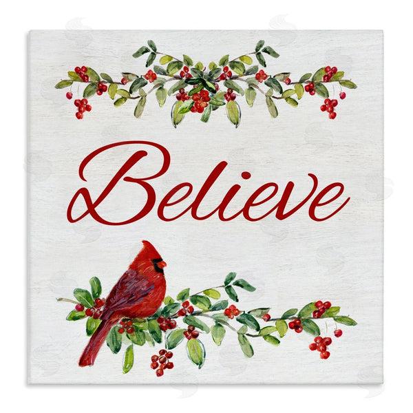 stupell industries Sally Swatland | Festive Believe Greenery