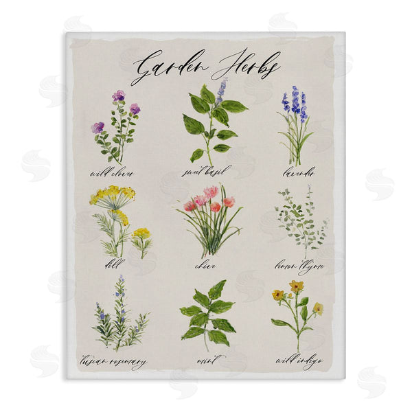 stupell industries Sally Swatland | Garden Herb Illustrated Chart Natural Kitchen Seasoning Wall Art