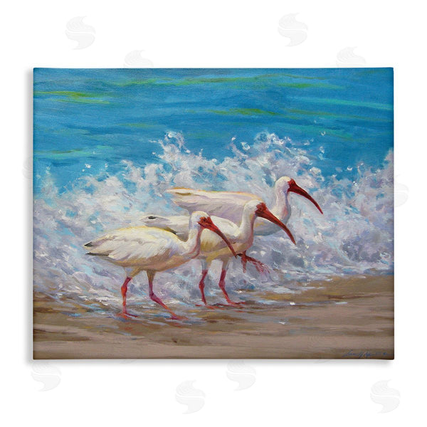 stupell industries Sandy Nelson | Splashing Sea Birds Wall Art