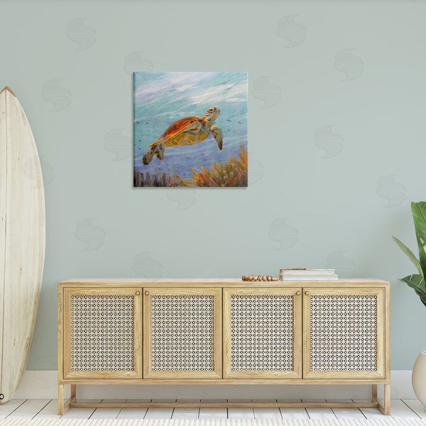 Stupell Industries Sandy Nelson | Turtle Among Coral Reef Wall Art