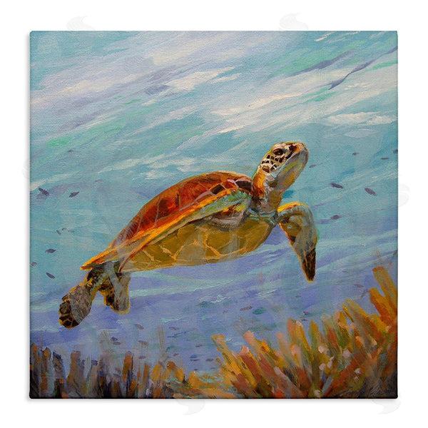 stupell industries Sandy Nelson | Turtle Among Coral Reef Wall Art