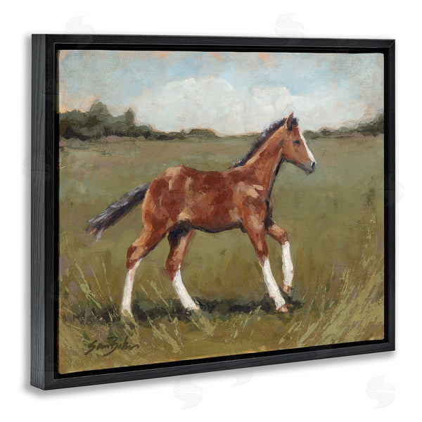Stupell Industries Sara Baker | Horse Foal Galloping Countryside Wall Art