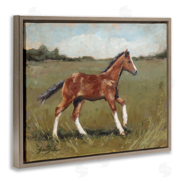 Stupell Industries Sara Baker | Horse Foal Galloping Countryside Wall Art