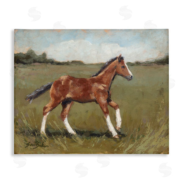 stupell industries Sara Baker | Horse Foal Galloping Countryside Wall Art