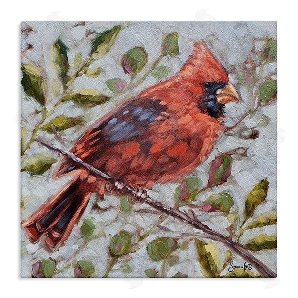stupell industries Sara G. Designs | Cardinal Tree Branch Nature Wall Art