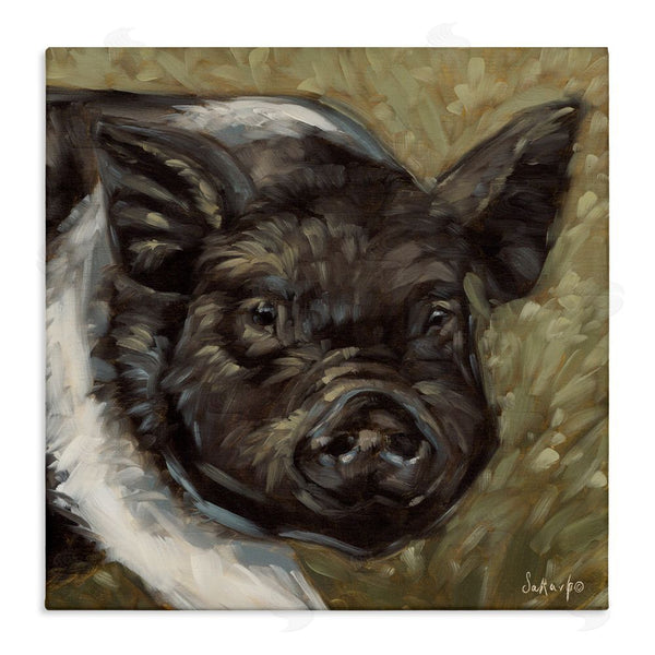 stupell industries Sara G. Designs | Country Pig Painting Wall Art