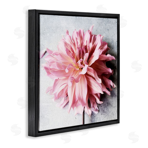 Stupell Industries Sarah Jane | Pink Floral With Curled Petals