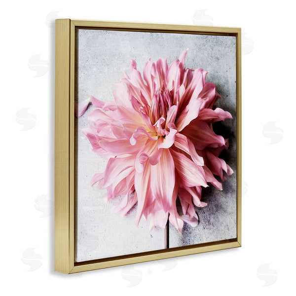 Stupell Industries Sarah Jane | Pink Floral With Curled Petals