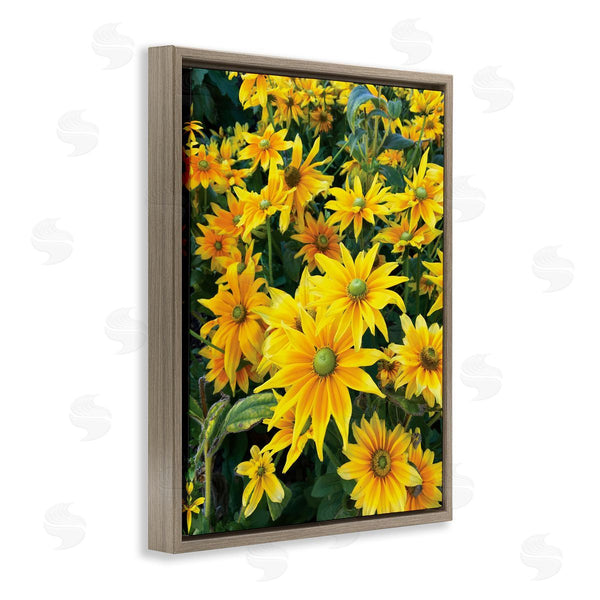 Stupell Industries Sarah Jane | Sunflower Field Blooming Green Bulbs Yellow Petals Wall Art