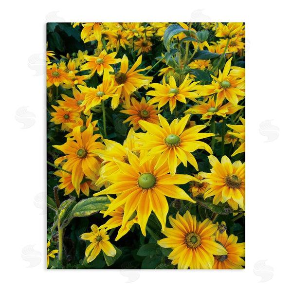 stupell industries Sarah Jane | Sunflower Field Blooming Green Bulbs Yellow Petals Wall Art