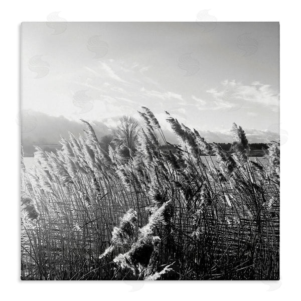 stupell industries Sarah Jane | Tall Grass Lake Water Landscape