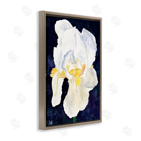 Stupell Industries Sarah Waldron Kimball | White Iris Petals Wall Art