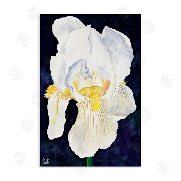 stupell industries Sarah Waldron Kimball | White Iris Petals Wall Art