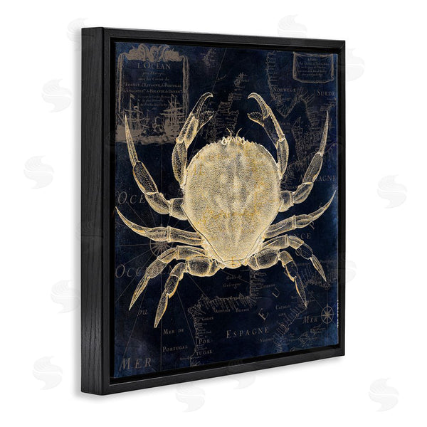 Stupell Industries Sasha | Crab Contour Over Map Wall Art