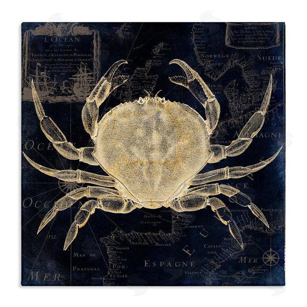 stupell industries Sasha | Crab Contour over Map Wall Art