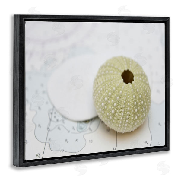 Stupell Industries Savanah Plank | Aquatic Sea Urchin Wall Art