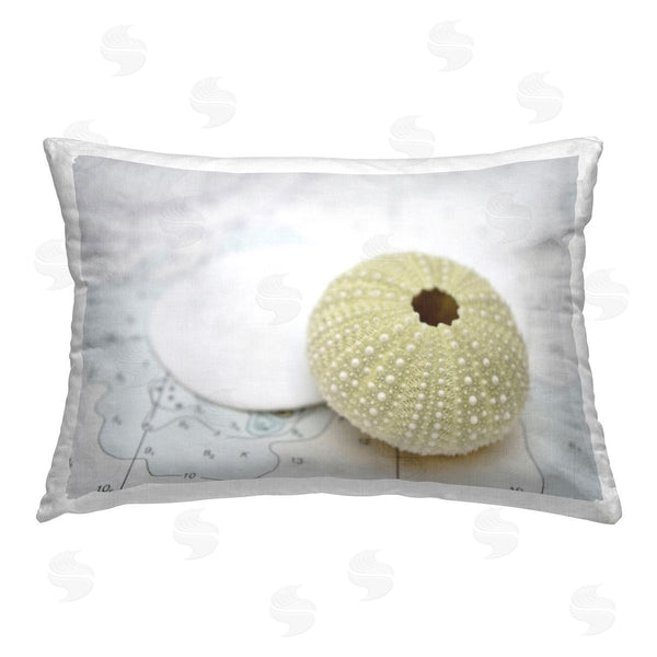 stupell industries Savanah Plank | Aquatic Sea Urchin