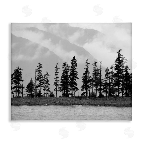 stupell industries Savanah Plank | Empty Pine Tree Forest Coast Line Misty Mountains Wall Art