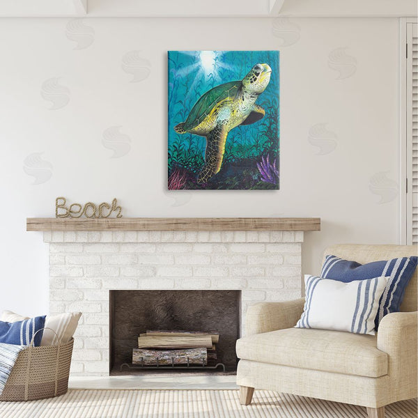 Stupell Industries Scott Westmoreland | Turtle Underwater Reef Wall Art