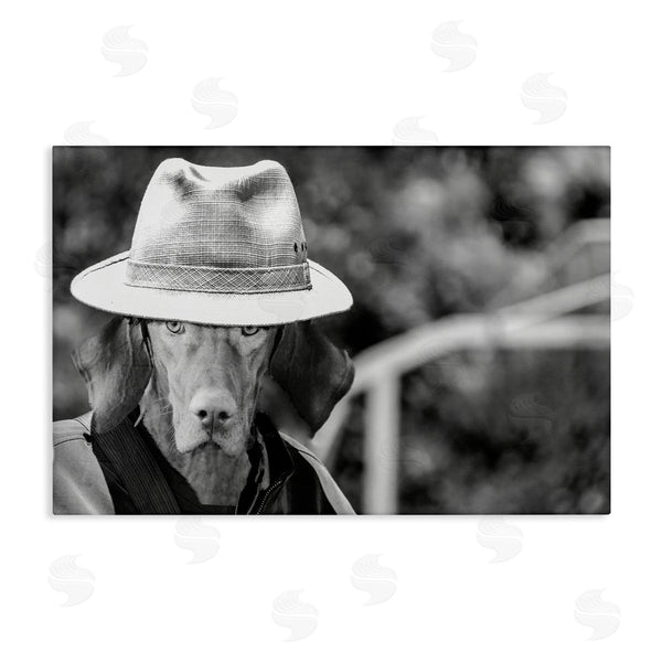 stupell industries Sd Graphics Studio | Country Cowboy Dog