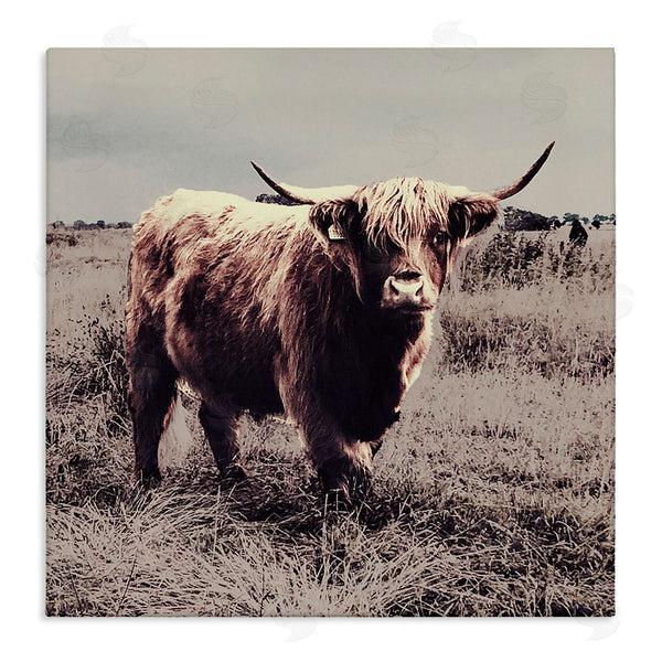stupell industries SD Graphics Studio | Farm Cattle Rustic Vintage Styling