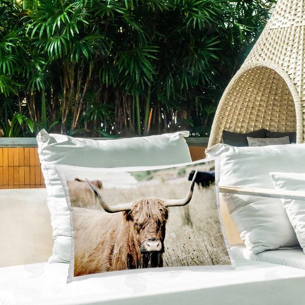 Stupell Industries SD Graphics Studio | Highland Cattle In Field
